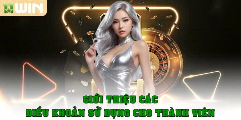 Giới thiệu các điều khoản sử dụng cho thành viên
