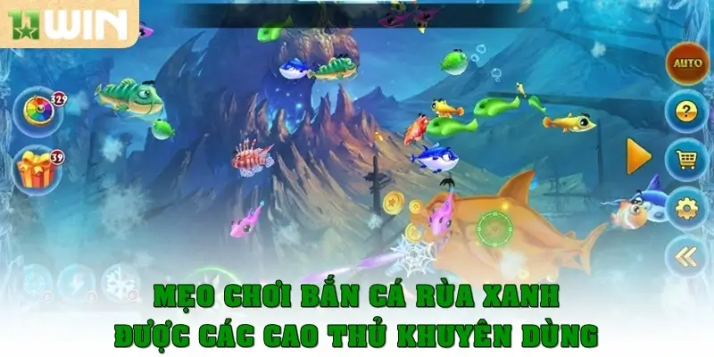 Mẹo chơi bắn cá rùa xanh được các cao thủ khuyên dùng